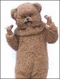 Bungle's Avatar